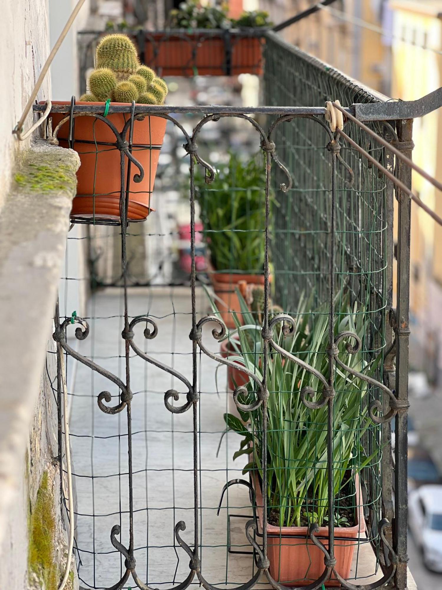 Bruno House Bed & Breakfast Napoli Bagian luar foto